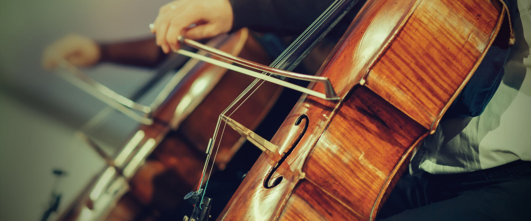 Violonchelo en primer plano